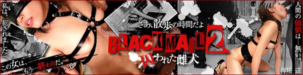 JAV Download Kanzaki Haruka – SM miracle e0494 BLACK MAIL 2 ～囚われた雌犬～ 神埼遥 Restraint 拘束