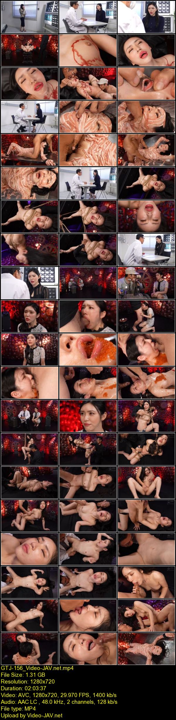 JAV Download Akari Shiomi [GTJ 156] Gear 歯車 激痛と快楽 塩見彩 2025 01 21