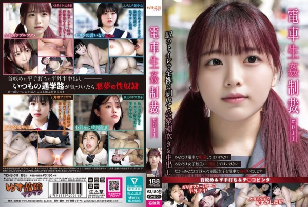 JAV Download [YDNS 011] 電車生姦制裁 ＃011 2026 07 07
