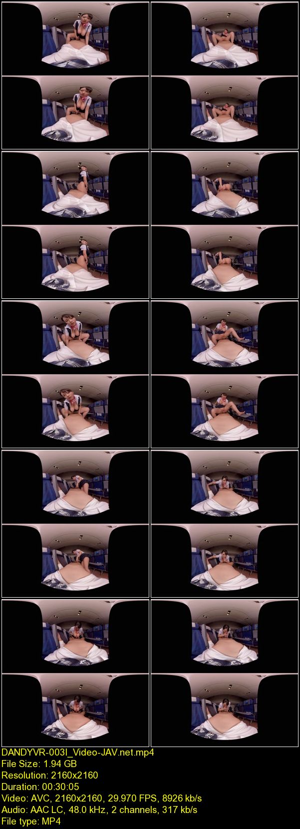 Download Japanese Adult Video [DANDYVR 003] 【VR AV】長尺シチュエーション 「『大きな胸でゴメンナサイ』高嶺の花の巨乳CAが手コキ/フェラ/パイズリ/SEXを機内でこっそりヤってくれた」 2017 10 06