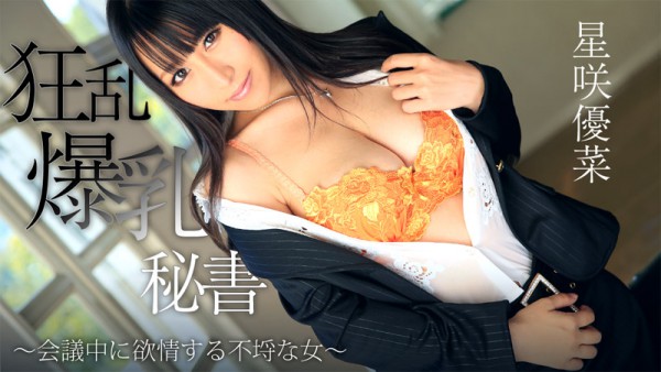 JAV Download Yuna Hoshisaki – Heyzo 0746 狂乱爆乳秘書～会議中に欲情する不埒な女～   星咲優菜 Big Tits 巨乳 2014 12 11