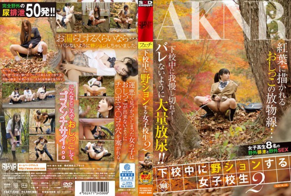 Download Japanese Adult Video [FSET 599] 下校中に野ションする女子○○  2 Socks Clothes Outdoor Exposure 2016 01 08